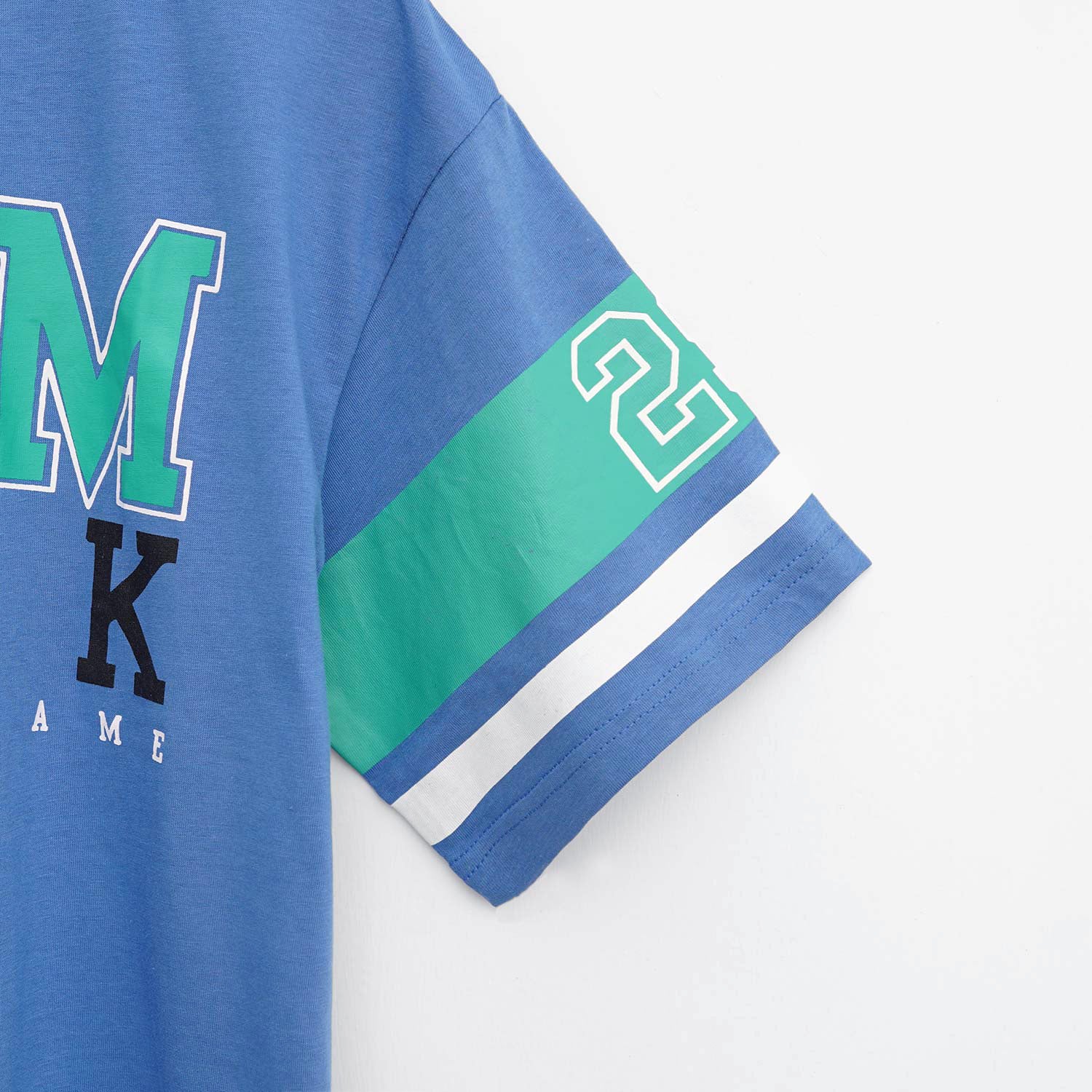 Branded Blue Printed Tee Shirt