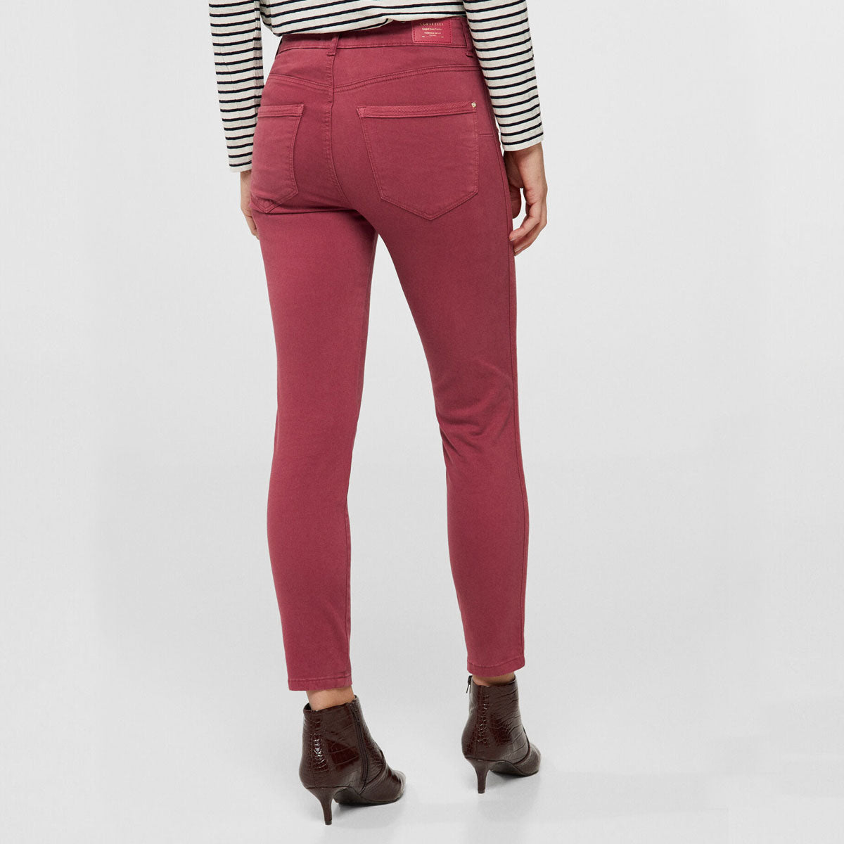 Amazing Plum Women Cotton Pant