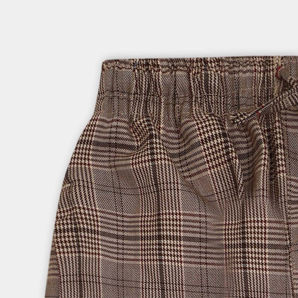 Men Casual Check Trouser - Brown
