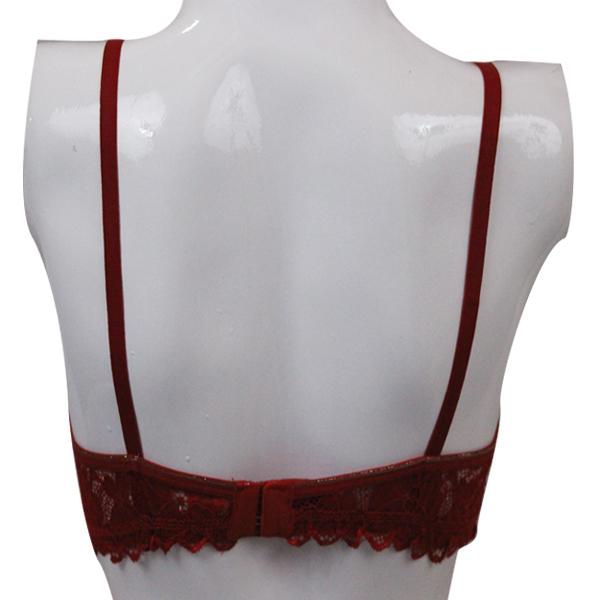 Premium Cotton Net Bra