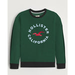 Men's "Hollister" Printed Fleece Sweat Shirt - Green
